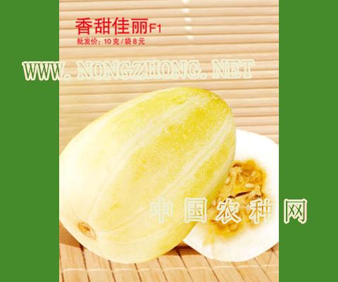 香甜佳丽甜瓜种子